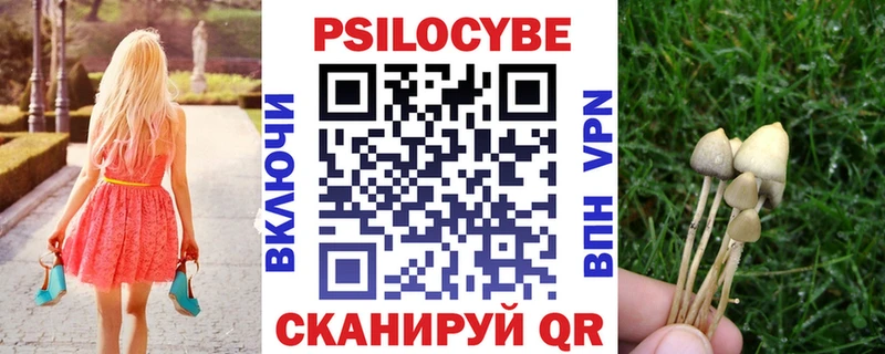 Галлюциногенные грибы Psilocybe  как найти наркотики  нарко площадка как зайти  Афипский 